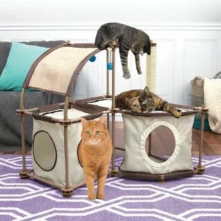 Котики домики для котиков