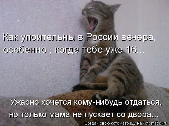 Если ужасно хочешь. Если ужасно хочешь