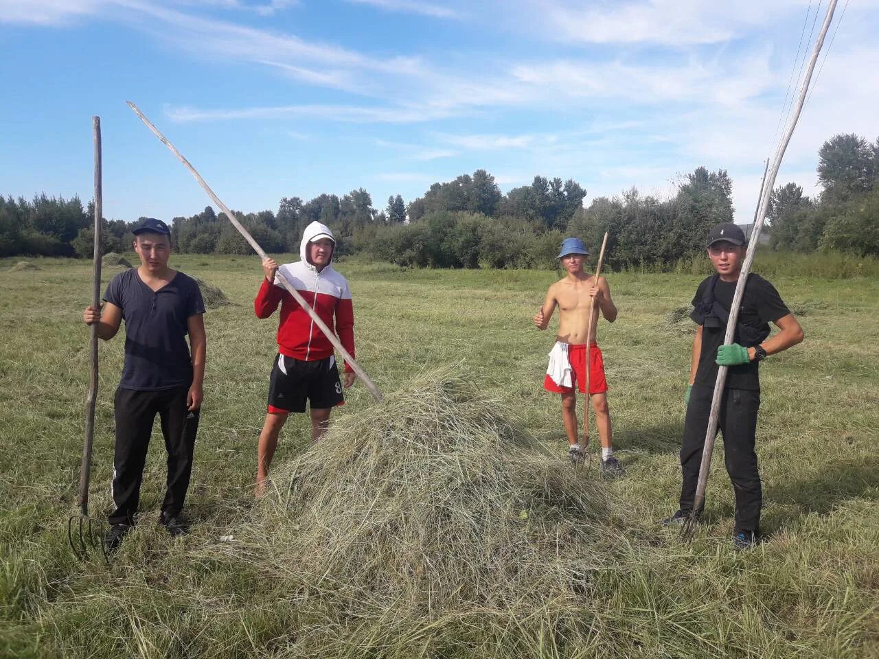 сельскохозяйственный факультет