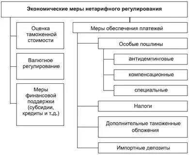 Специальные экономические меры