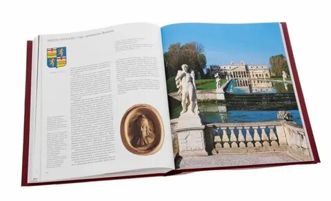 Дворец книга читать