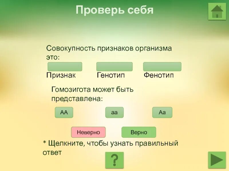 Каков генотип особи аа. Совокупность признаков организма. Организм имеющий генотип АА. Организм с генотипом АА. Генотип это совокупность.