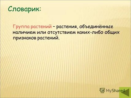 Группа словарь