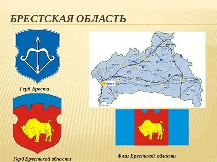 Брестская область 2024 год
