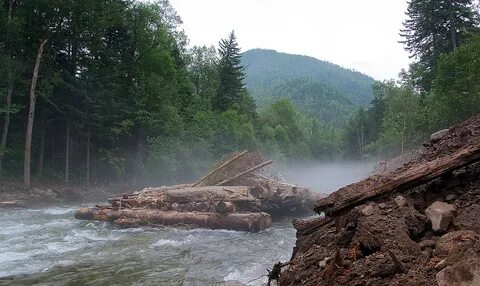 Красноармейском районе приморского края