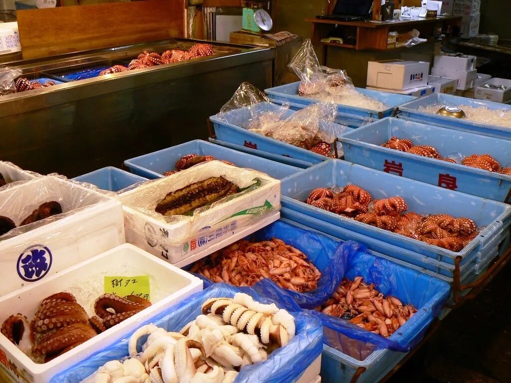Рыба на рынке. Рыба на базаре. На рынке с мороженой рыбой. Продбаза очаково. Выкладка рыбной продукции.