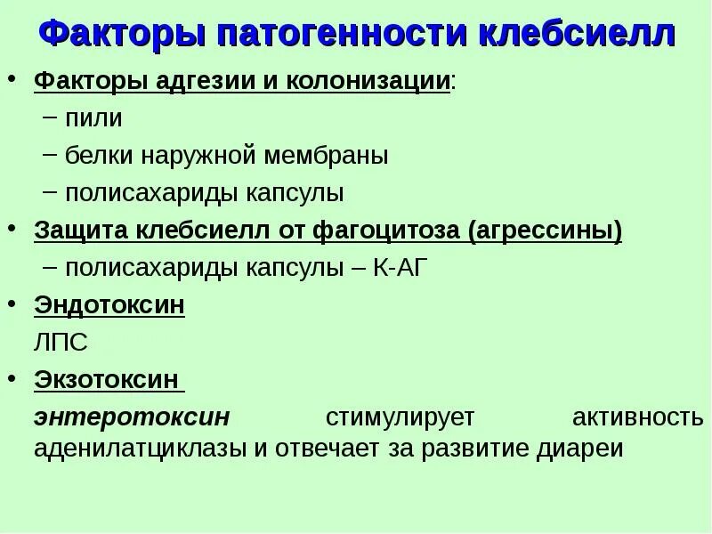 Клебсиелла факторы патогенности. Факторы патогенности клебсиелл. Klebsiella pneumoniae факторы патогенности. Факторы адгезии и колонизации. Сп группа патогенности