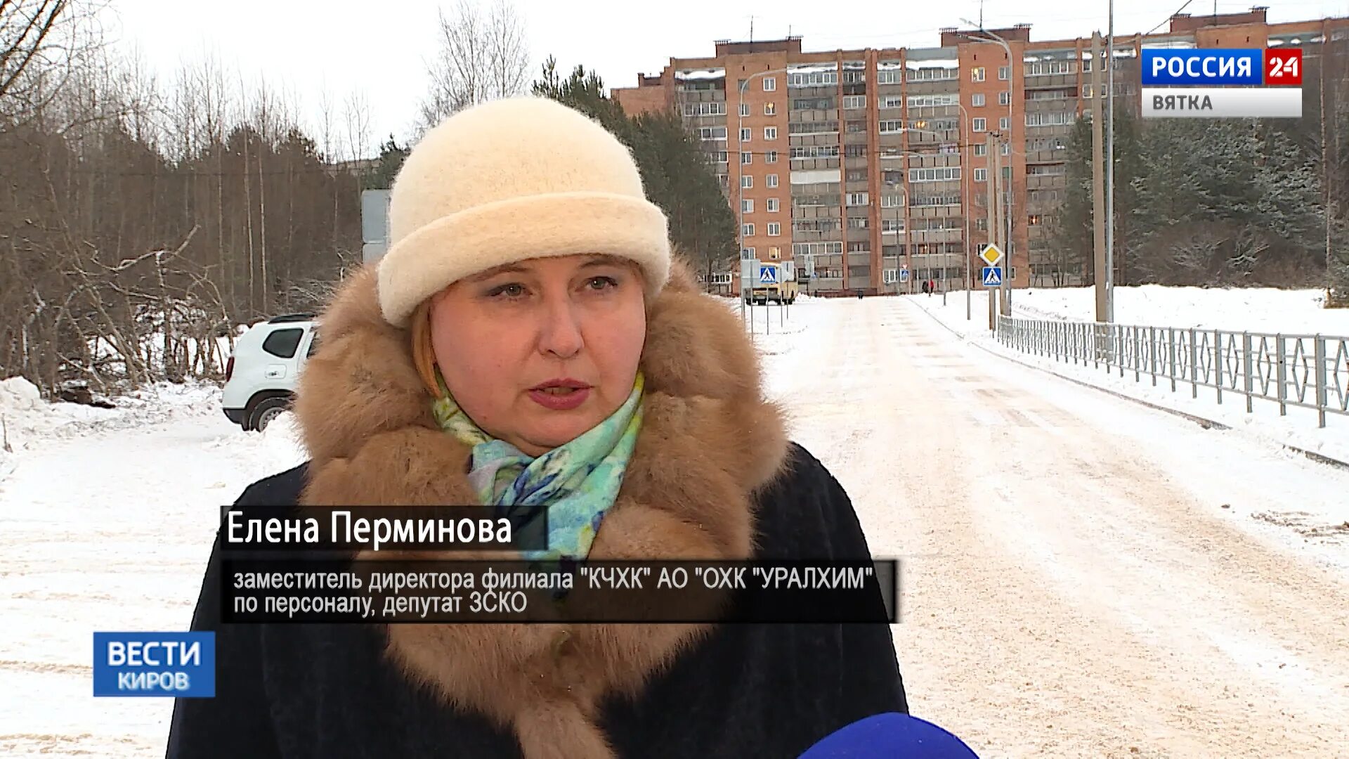 Помощь животным кирово чепецк. Алёна перминова кирово-чепецк. перминова кирово-чепецк депутат. перминова уралхим. детский сад 17 кирово-чепецк.