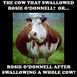 Cows перевод на русский