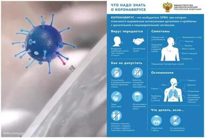 Коронавирус штаммы 2022. Симптомы и профилактика коронавируса. Коронавирус профилактика. Коронавирус симптоматика. Коронавирус симптомы картинки.