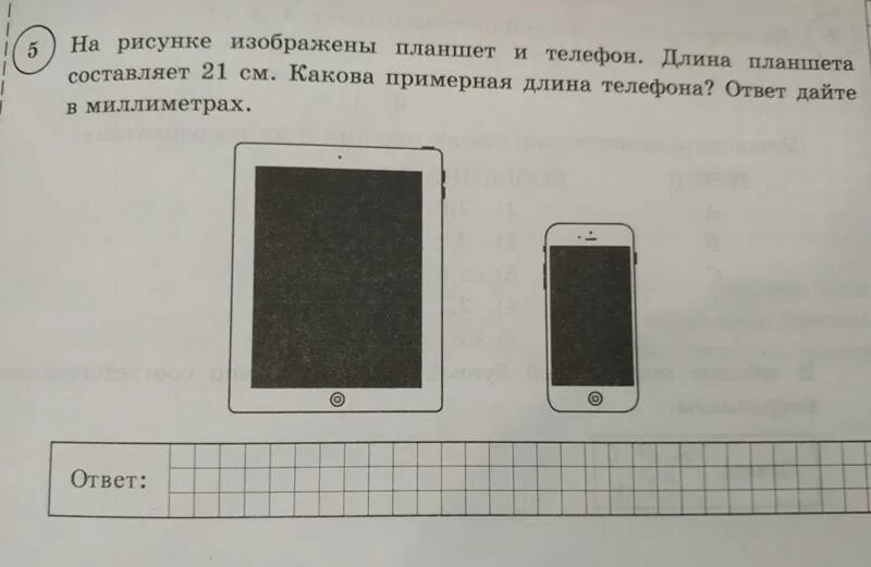 Впр 78. Описание картинки ВПР 7 класс. Решу ВПР описание картинки 11. Решу ВПР 6 класс биология с ответами. Описание картинки ВПР 7 класс английский язык.