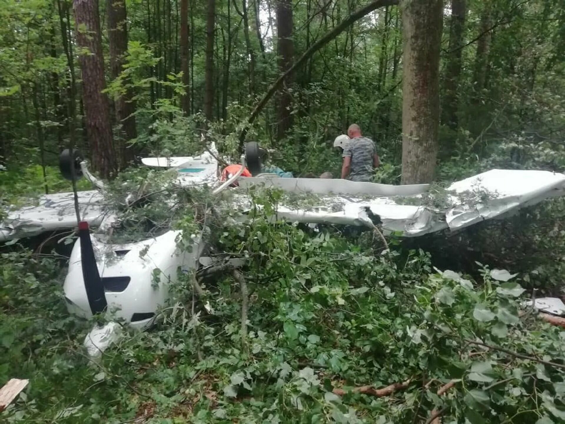 Самолет совершил аварийную. В подмосковье разбился самолет ил 112 в. самолет в лесу.