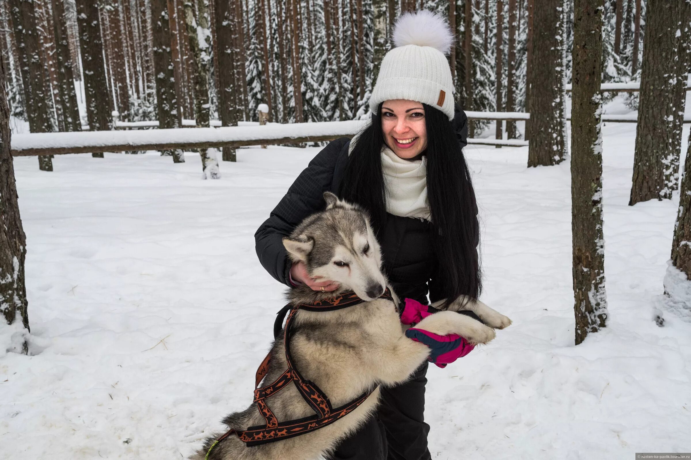 Хаски парк карелия сортавала. Белая руна хаски сортавала. Белая руна питомник хаски. Белая руна питомник хаски. Питомник хаски белая руна карелия.