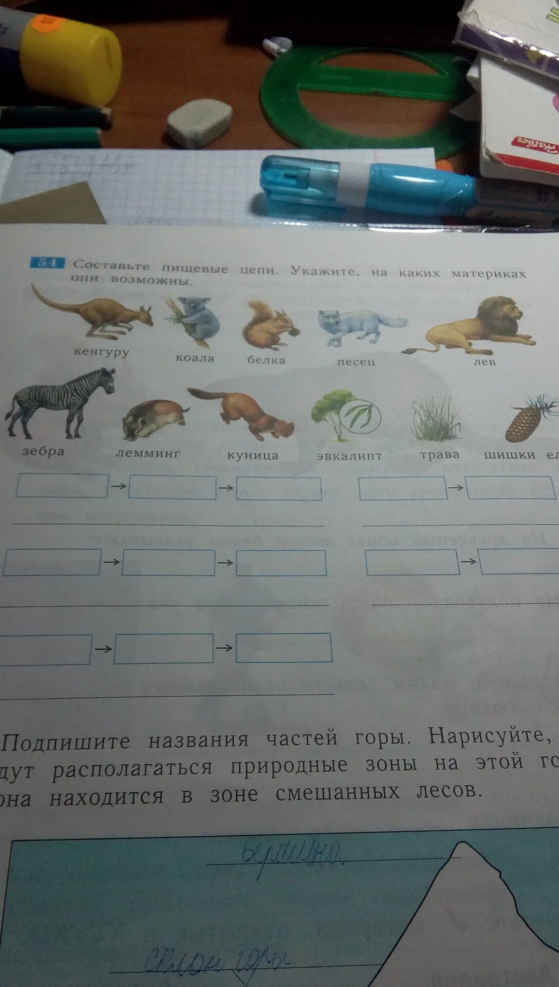 Посели животных на материках рабочая тетрадь окружающий. Вырежи из приложения изображения животных и посели их на материках. пищевая цепь кенгуру. цепочка питания кенгуру. цепь питания коалы.