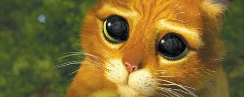 Кот в сапогах с большими глазами
