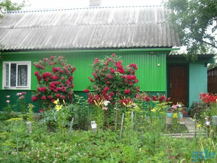 Дом в деревне в бобруйском районе