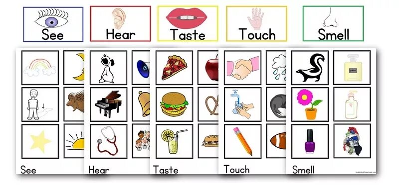 Can we touch. Hear see smell taste Touch Worksheets. See smell hear Touch taste for Kids. Five senses activities for Kids. 5 Senses Flashcards for Kids.