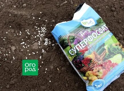 Суперфосфат удобрение применение на огороде