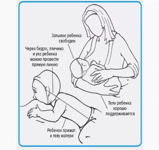Правильное грудное вскармливание схема. Схема кормления грудью новорожденного. Грудное вскармливание новорожденных правильное прикладывание. Грудное вскармливание правильное прикладывание схема.