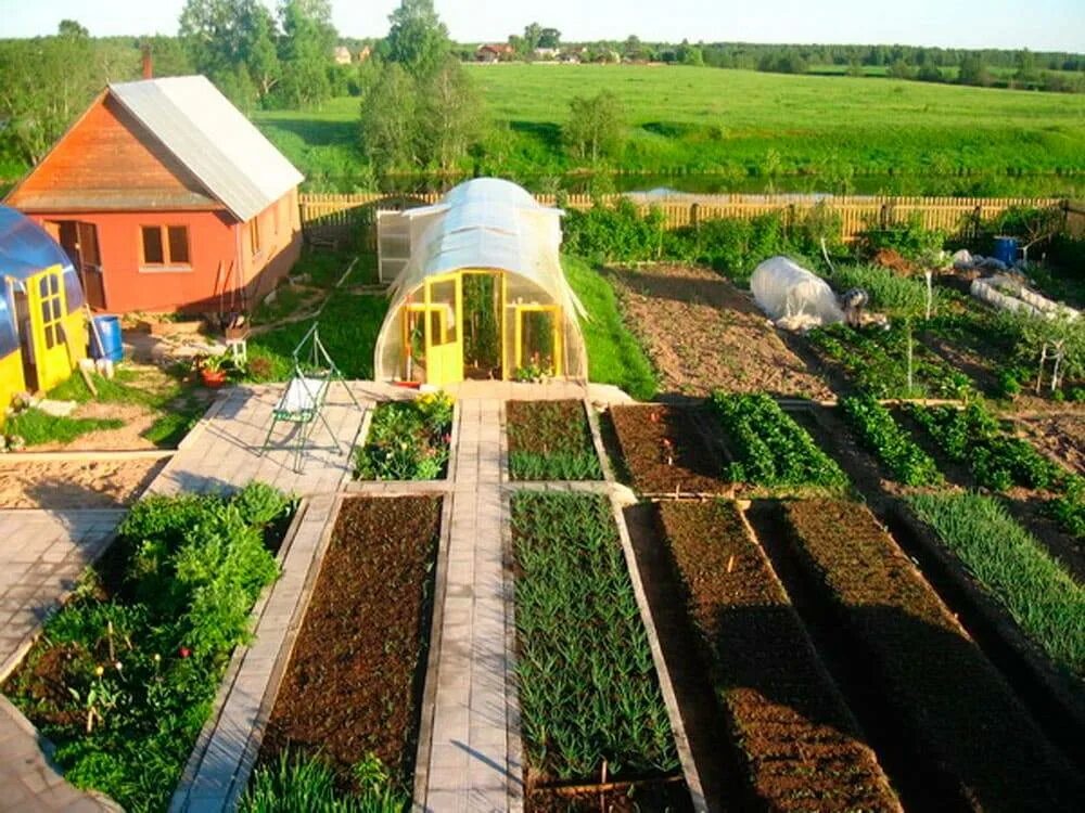 Как использовать в садоводстве