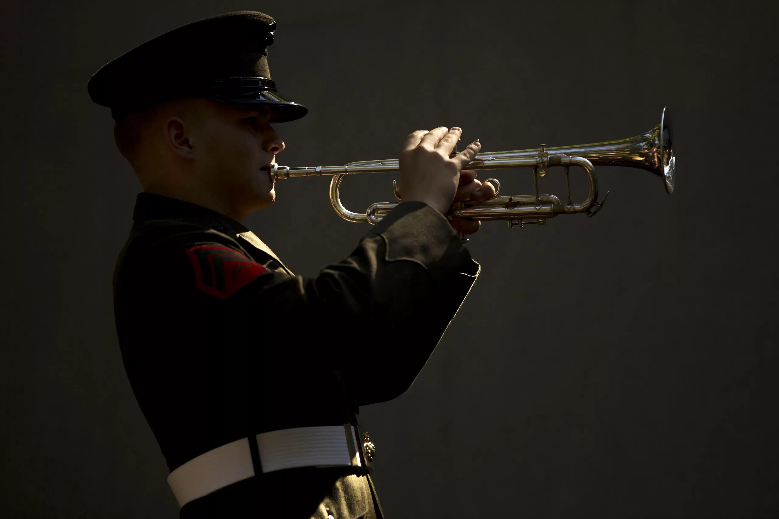 Веселые песни труба. Трубач Дальневосточный. Музыкальная труба. Трубач музыкант. Военный трубач.