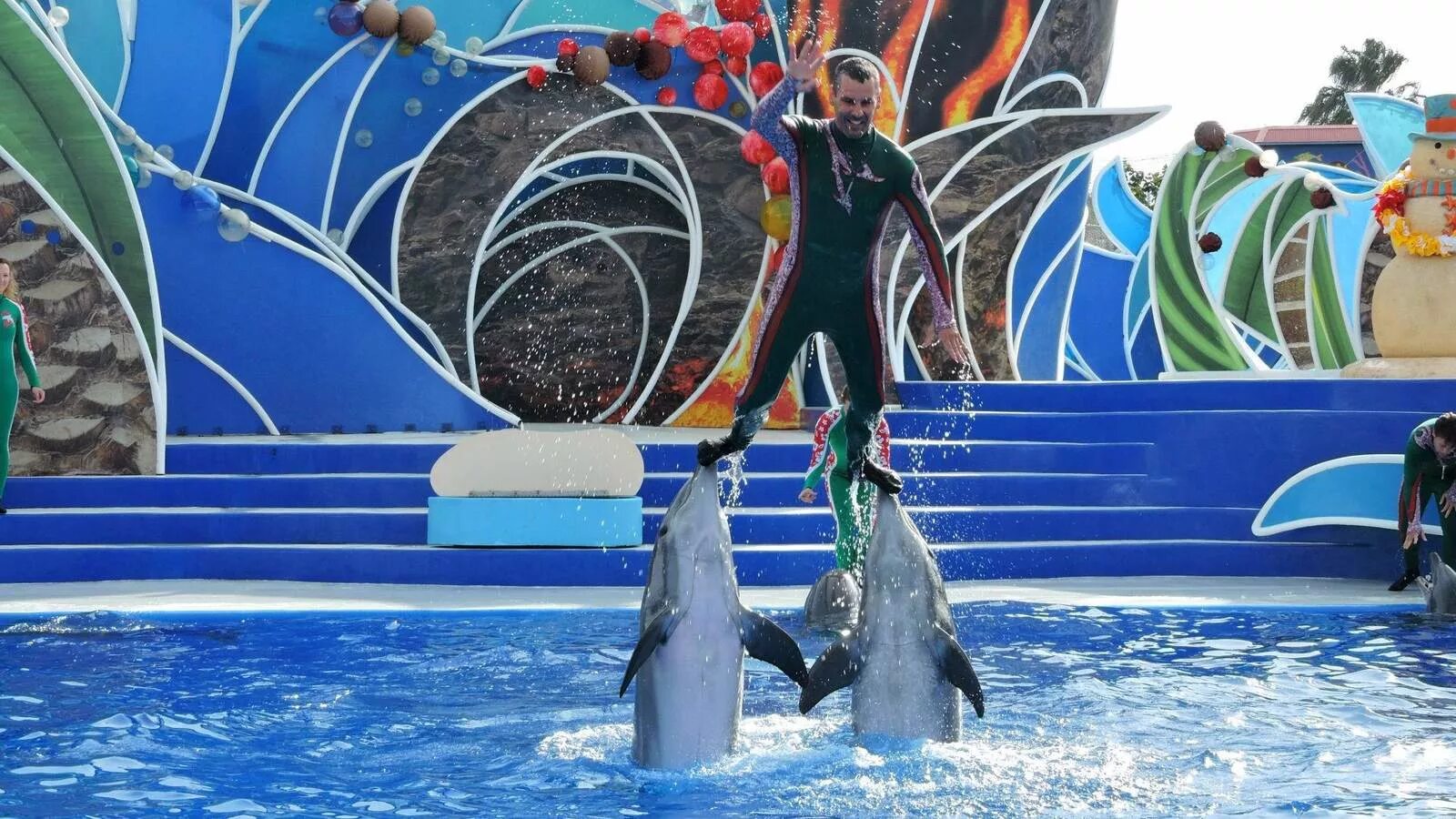 Seaworld orlando. Аттракцион дельфинов. Парк ривьера сочи дельфинарий. Аттракцион дельфинов. Парк дельфин аттракционы.
