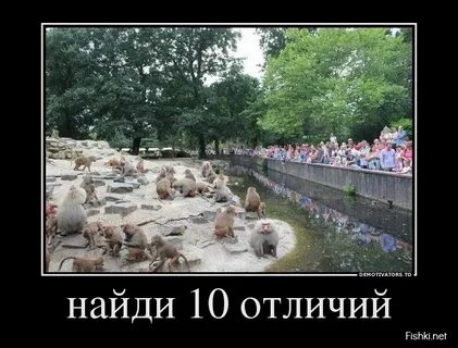 Не смотрят на народы