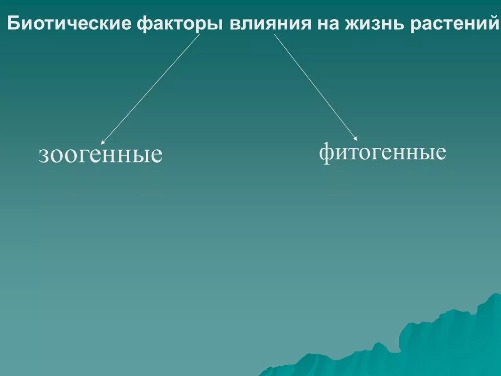 Зависимость роста и развития растений от условий окружающей среды. Биотические факторы в жизни растений. Фитогенные факторы влияния растений. Факторы влияющие на развитие растений.