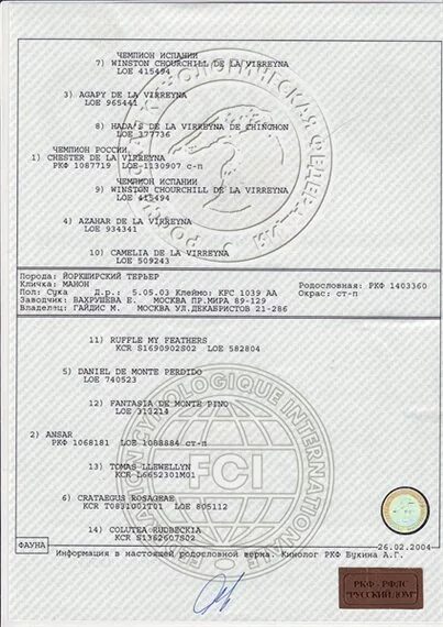 Резервирование щенков ЗСЛ - Покупка - продажа - ОХОТА С ЛАЙКОЙ