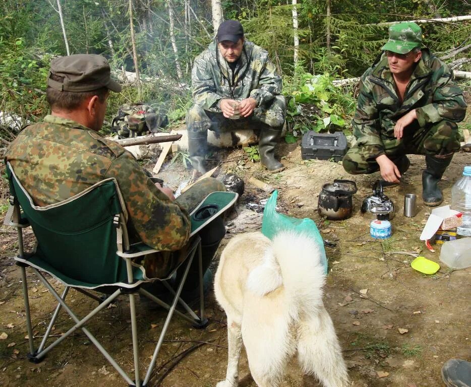 Охотничий тест
