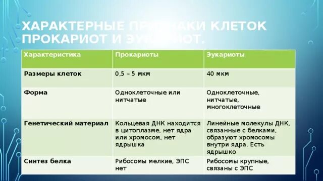 Код универсален только для эукариотических клеток. Код универсален только для эукариотических клеток