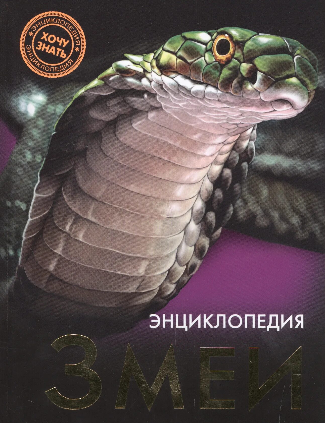 Энциклопедия про змей для детей. Книга про змей. Книги о змеях для детей. Змеи. Детская энциклопедия.