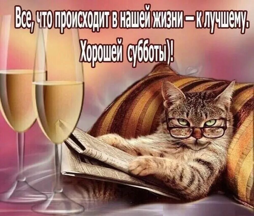 Доброе утро суббота картинки прикольные смешные