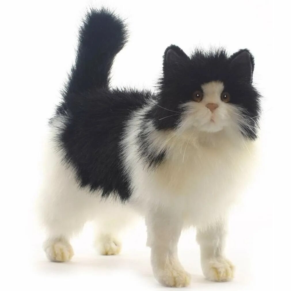 Кошка мягкая купить. Мягкая игрушка Hansa кошка черно-белая 40 см. Мягкая игрушка кот Ханса. Мягкая игрушка Hansa кошка. Игрушка черно белый кот Ханса.
