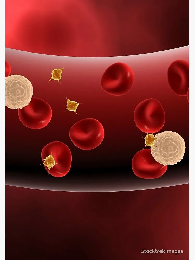 Смешанная кровь в сердце. Эритропоэтин. Flow animation. Blood flow. Blood flow.