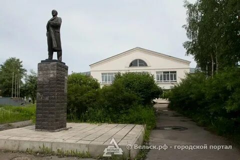 Коноша архангельская