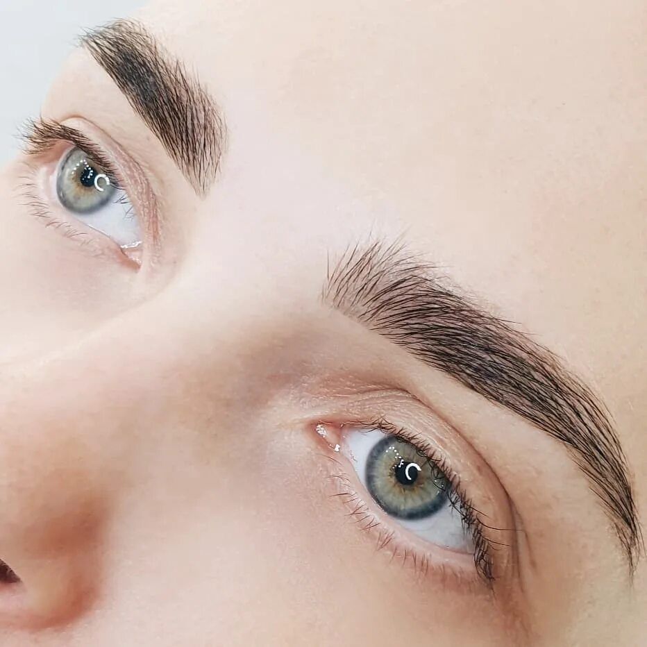 коричневые брови. ламинирование бровей до и после с окрашиванием. ламинирование бровей плюсы и минусы. ламинирование брове1. ламинирование бровей плюсы и минусы.