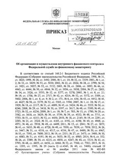 Приказ осуществление внутреннего финансового контроля