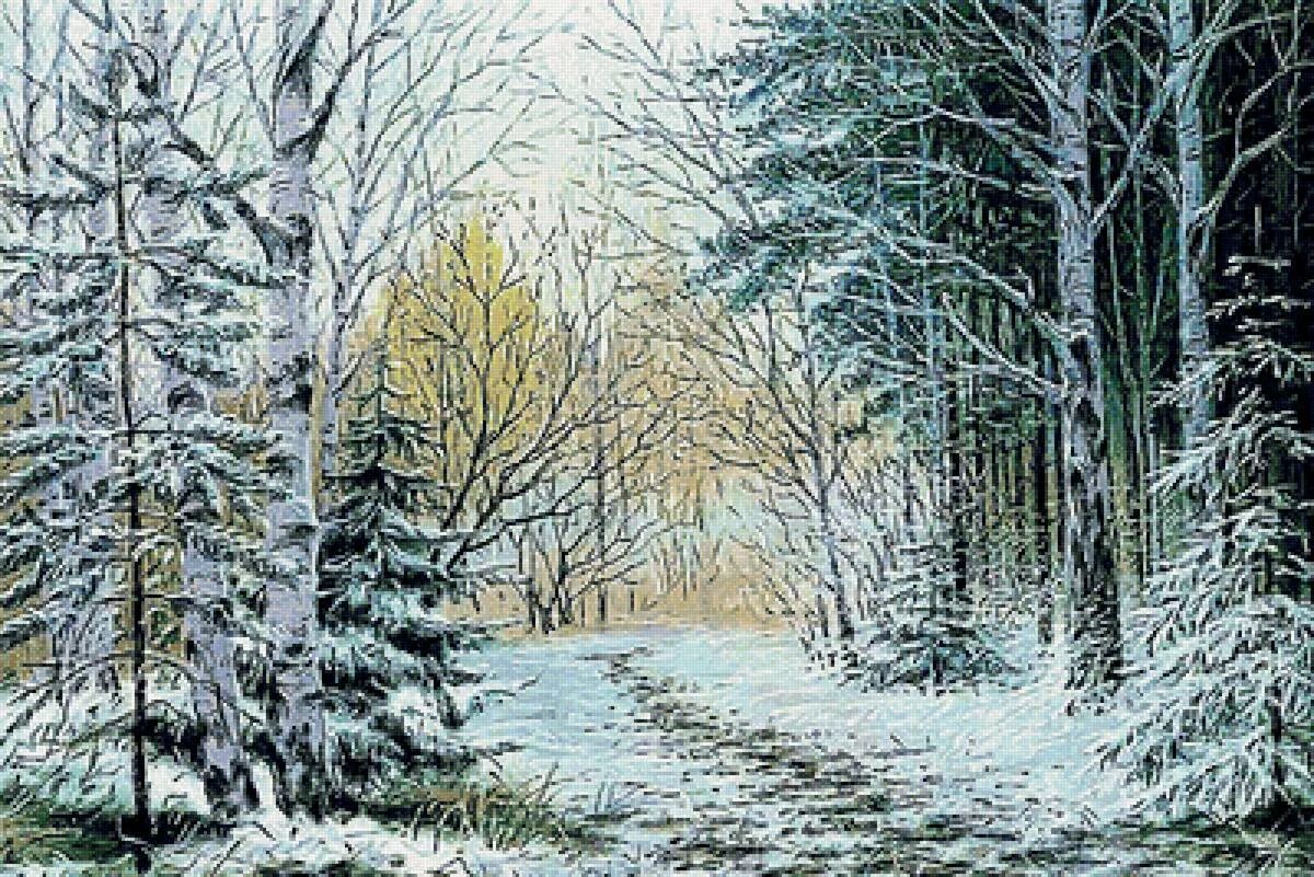 Изображен зимний лес. Изображен зимний лес