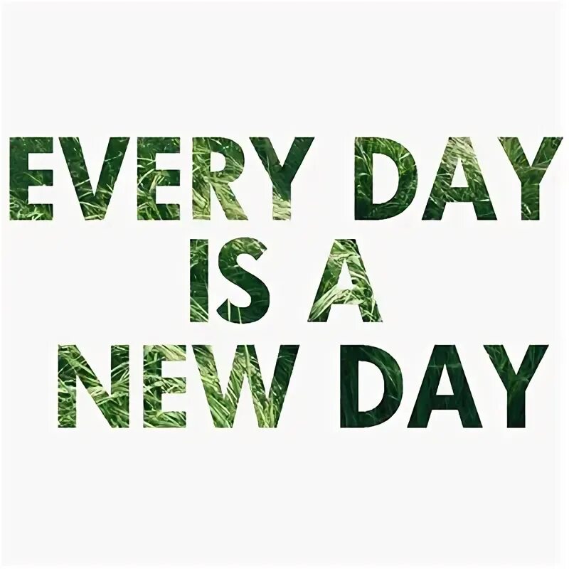 Every day is the same. Надпись New Day. New Day New Life. Everyday is everyday. Every Day is a New Adventure картинки.