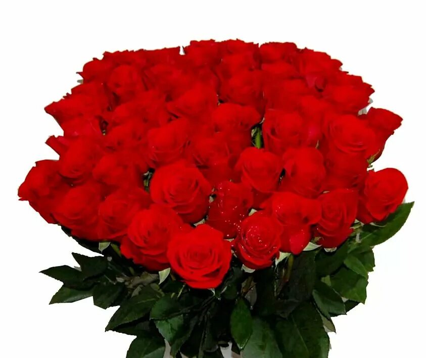 Букет роз для женщин большой и красивый. Красивые большие букеты. Букет роз. Шикарный букет роз. Огромный букет цветов.