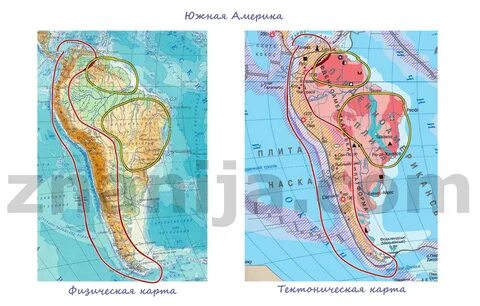 Плита древней платформы форма рельефа южная америка
