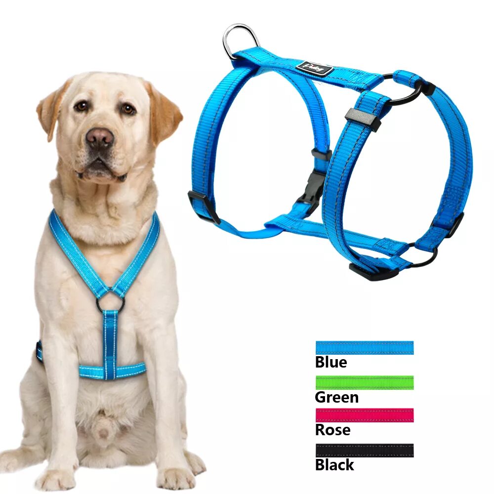 Dog Collar шлейка для собаки. Шлейка Comfy harness. Шлейка с поводком для собак. Шлейка для больших собак. True pets