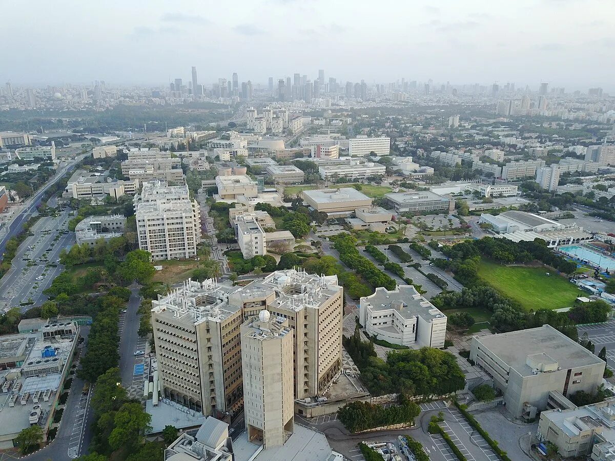 Aviv university