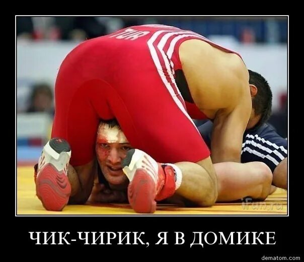 Что означает гоги. Гога фото смешное гоги. Фото гоги. Усатый грузин в кепке. Гога фото смешное гоги.