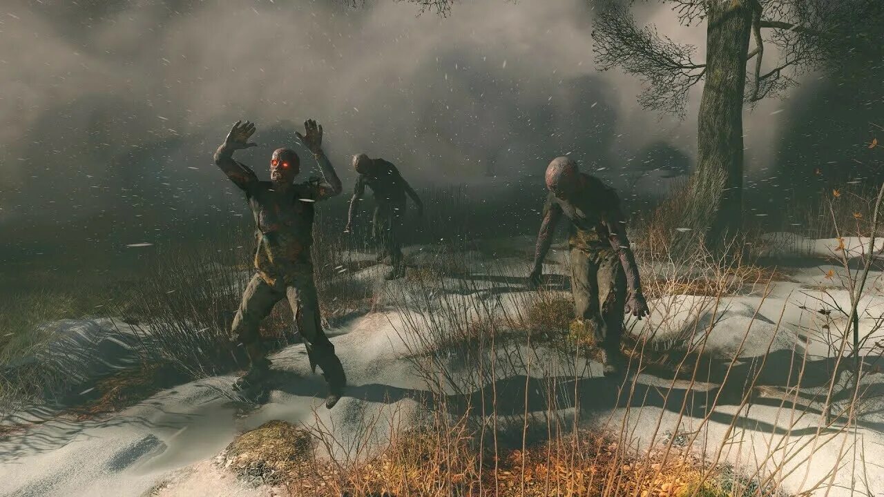 Zombie chapter