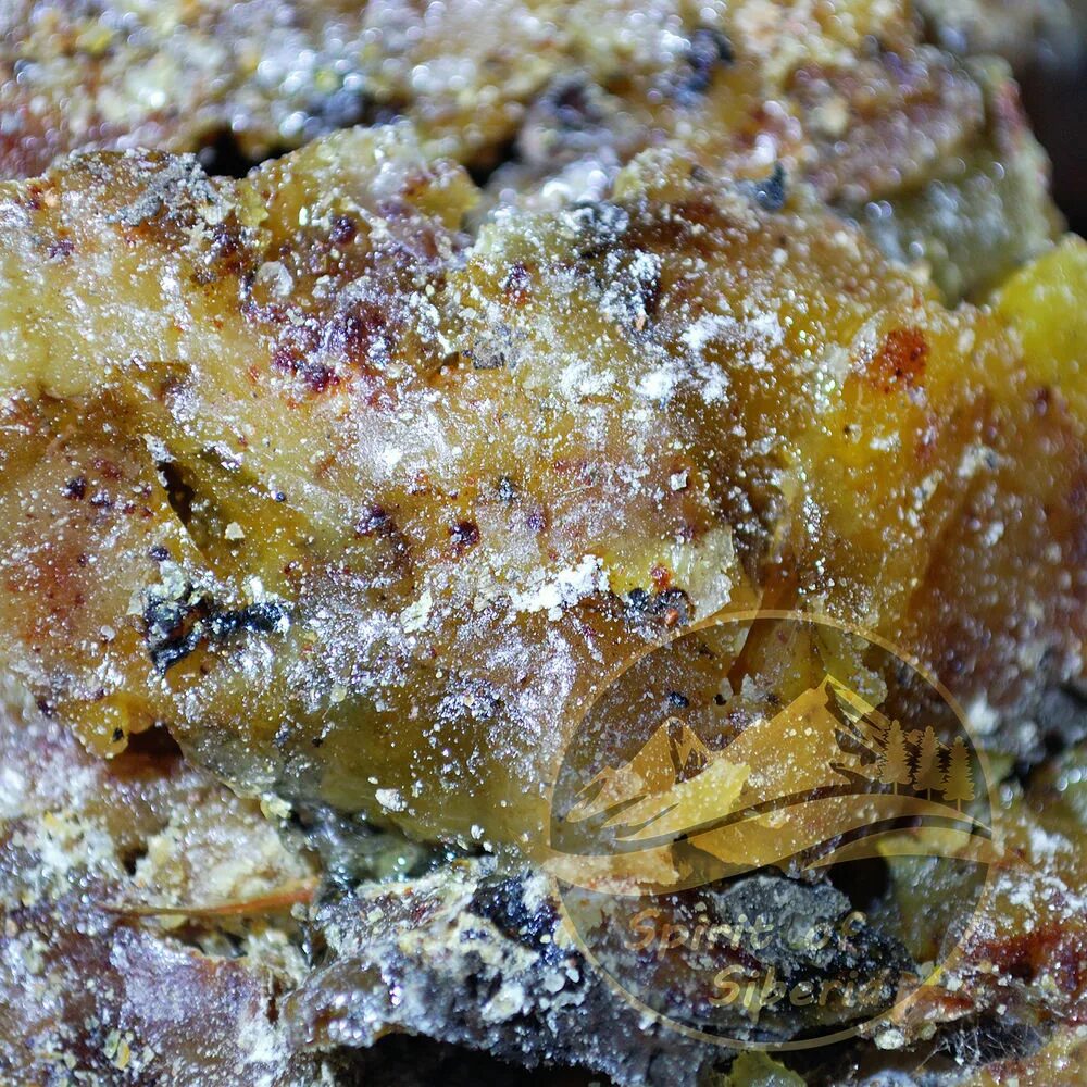 Живица кедровая с мумиё 50 мл. Александр живица. Янтарь смола на дереве. Артель сотворение / живица 30% на кедровом масле 100мл. Сосновая смола живица.