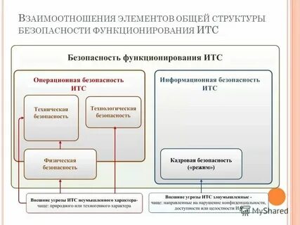 Описание строения и функционирования систем