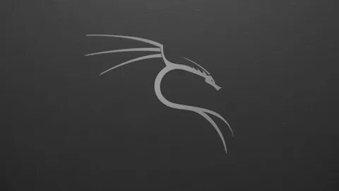 Kali linux live