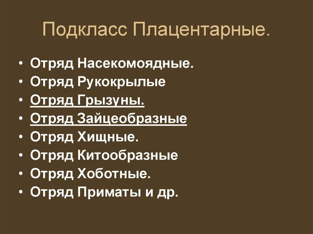 Отряды подкласса плацентарные. Подкласс плацентарные характеристика. Общая характеристика плацентарных. Подкласс звери высшие плацентарные.